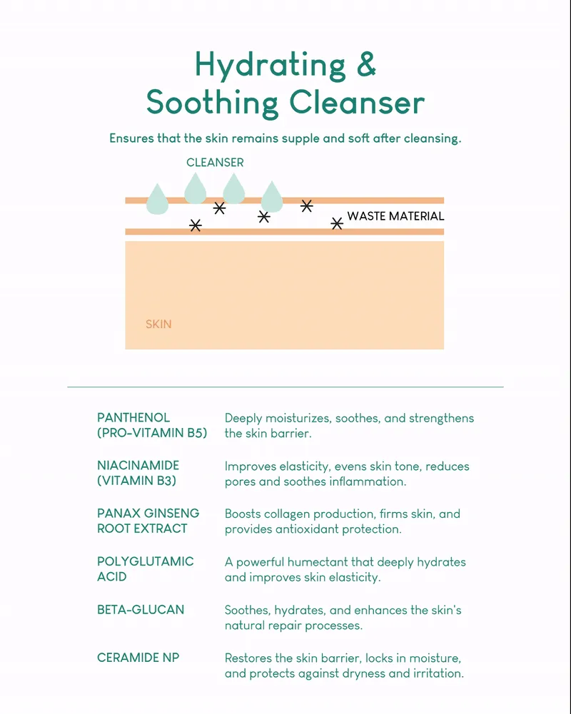 Jung Beauty Purifying Bubble Cleanser with Panthenol   Probiotics