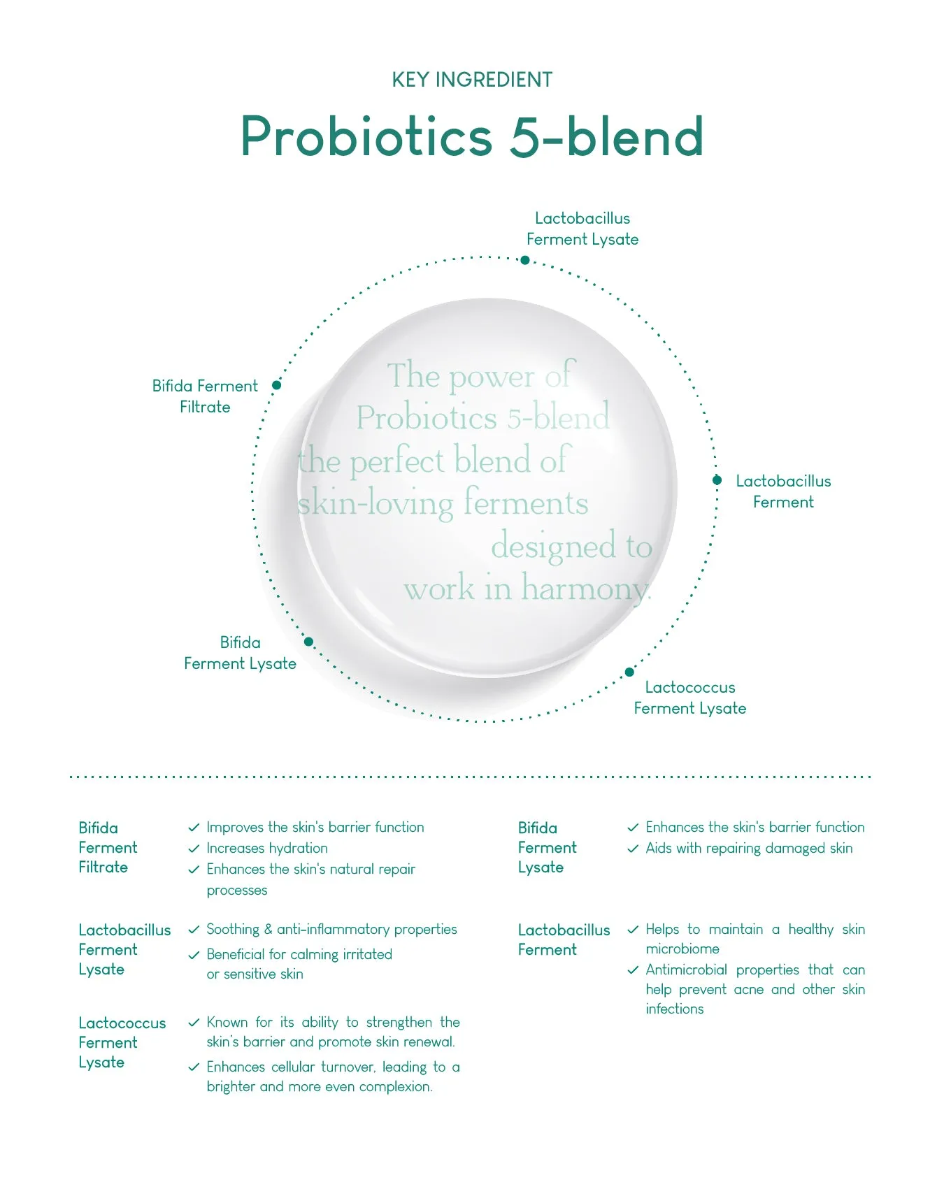 Jung Beauty Purifying Bubble Cleanser with Panthenol   Probiotics
