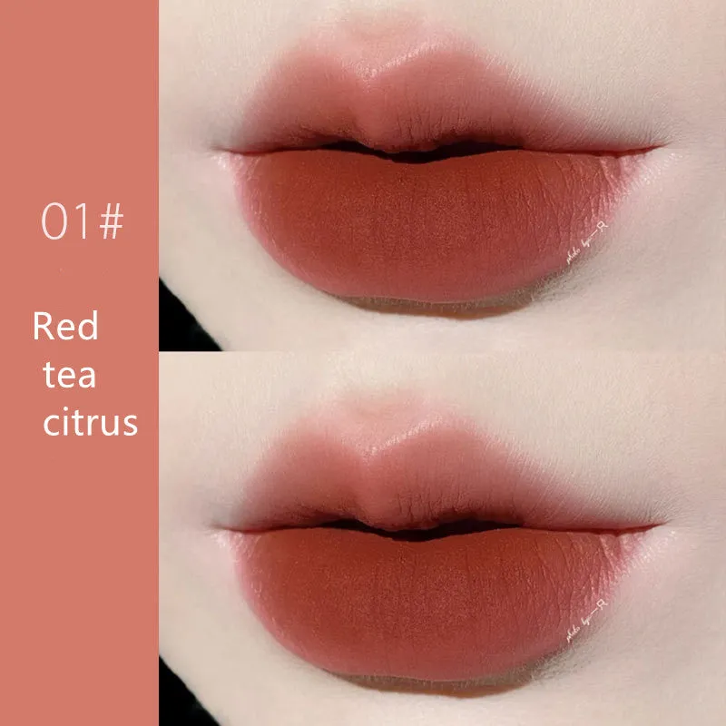 Long-Lasting Matte Moisturizing Lipstick