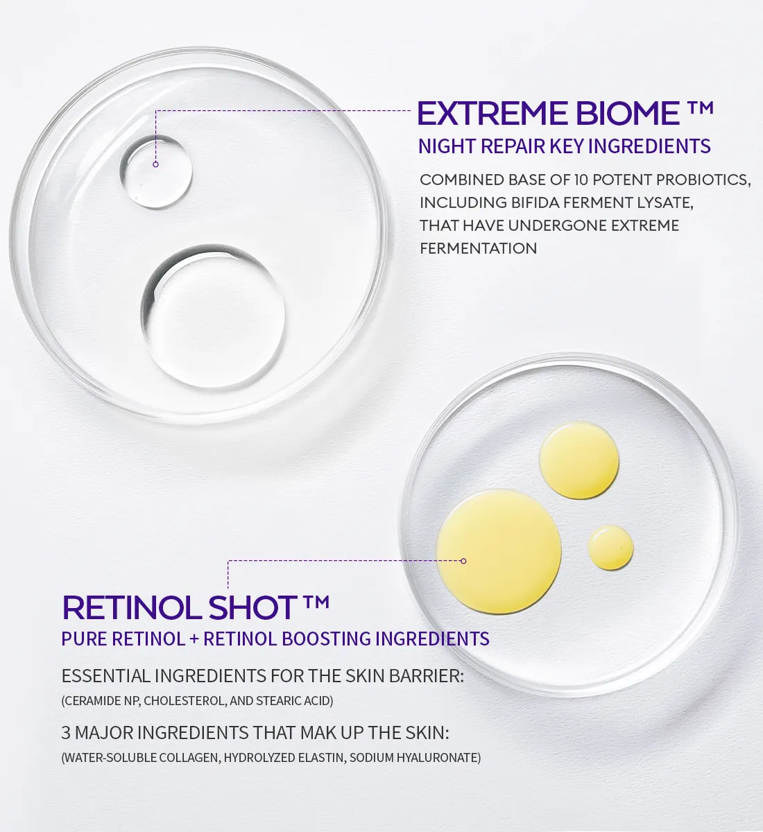 Time Revolution Night Repair Retinol Intensive Ampoule